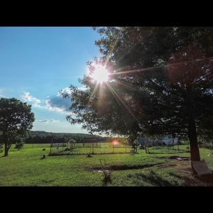 Meet your Posher, Marie